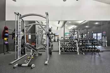 Fitness center with free weights and cardio machines
